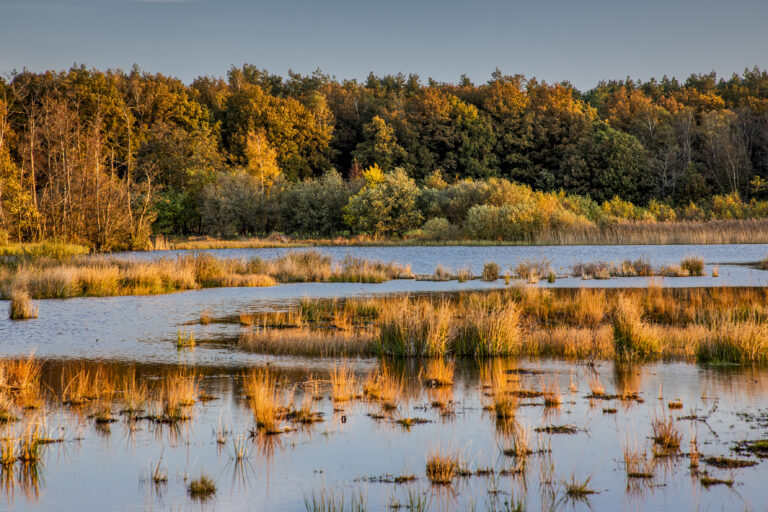 Dwingelderveldroute opnieuw populairste fietsroute van het jaar