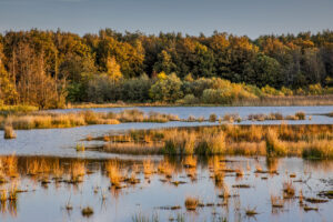 Dwingelderveldroute opnieuw populairste fietsroute van het jaar