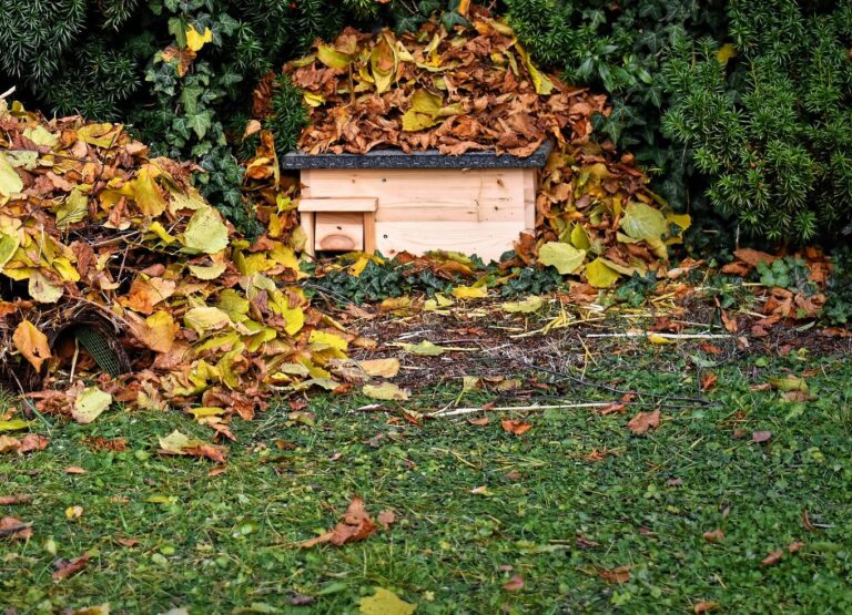 Tuintip januari: Maak een plekje voor dieren in de tuin