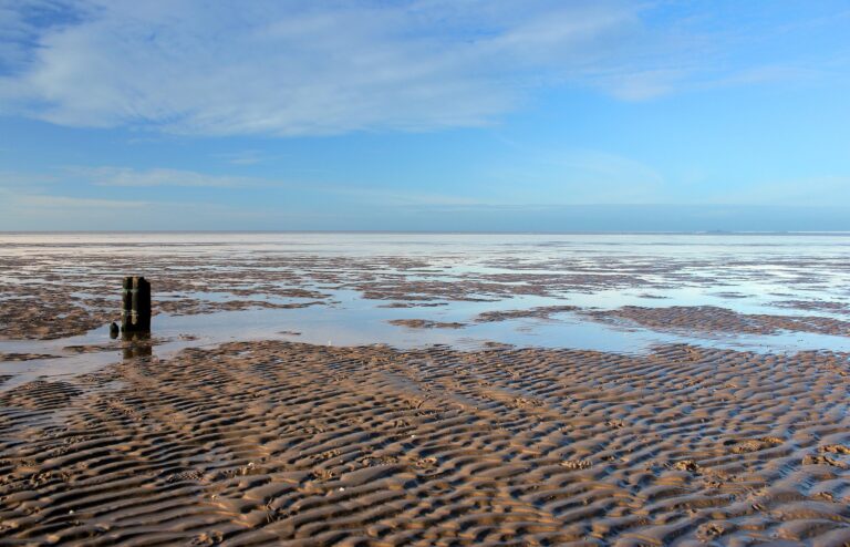 Webinar belicht belang van zoetwater voor de Waddenzee