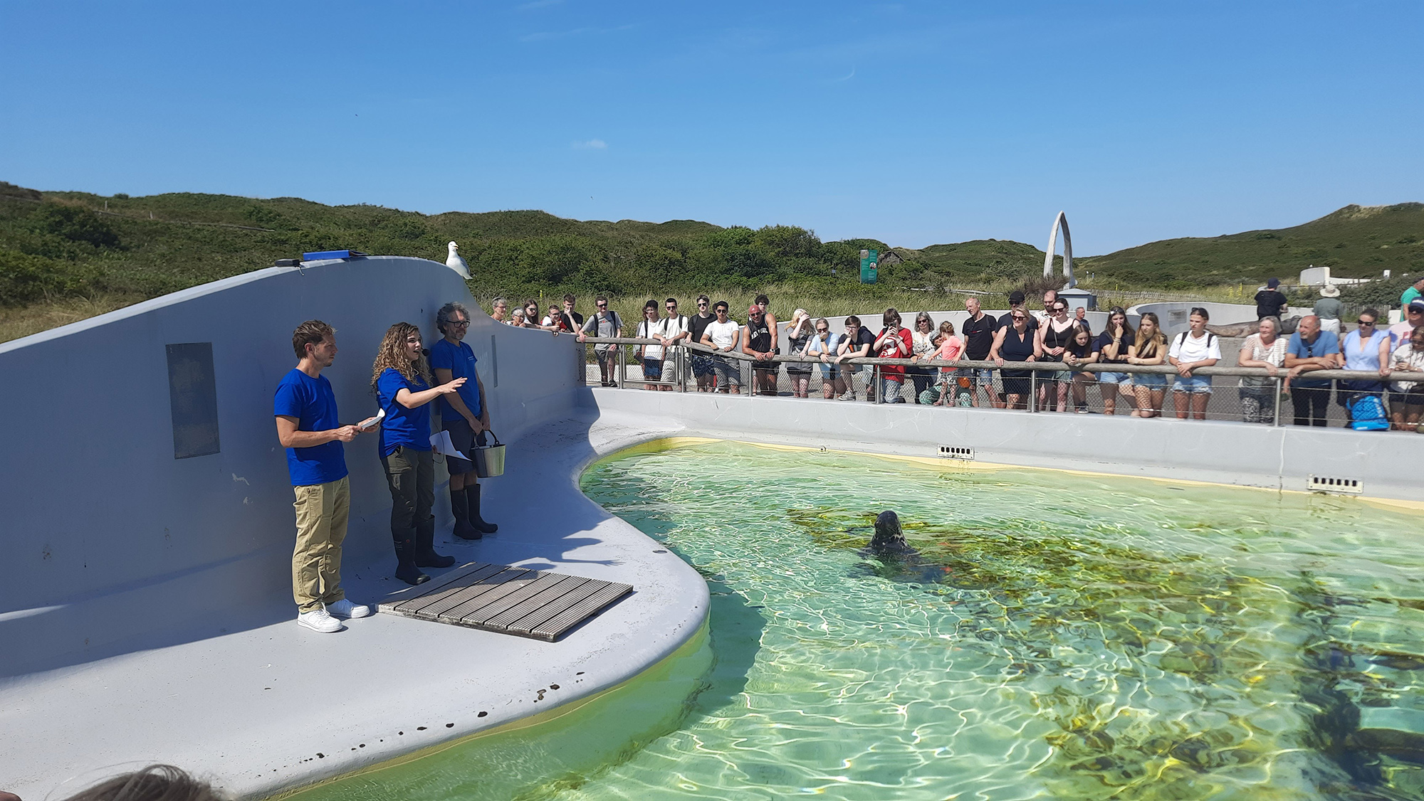 Ecomare in jeugdserie ‘Rachel en Elbert passen op’