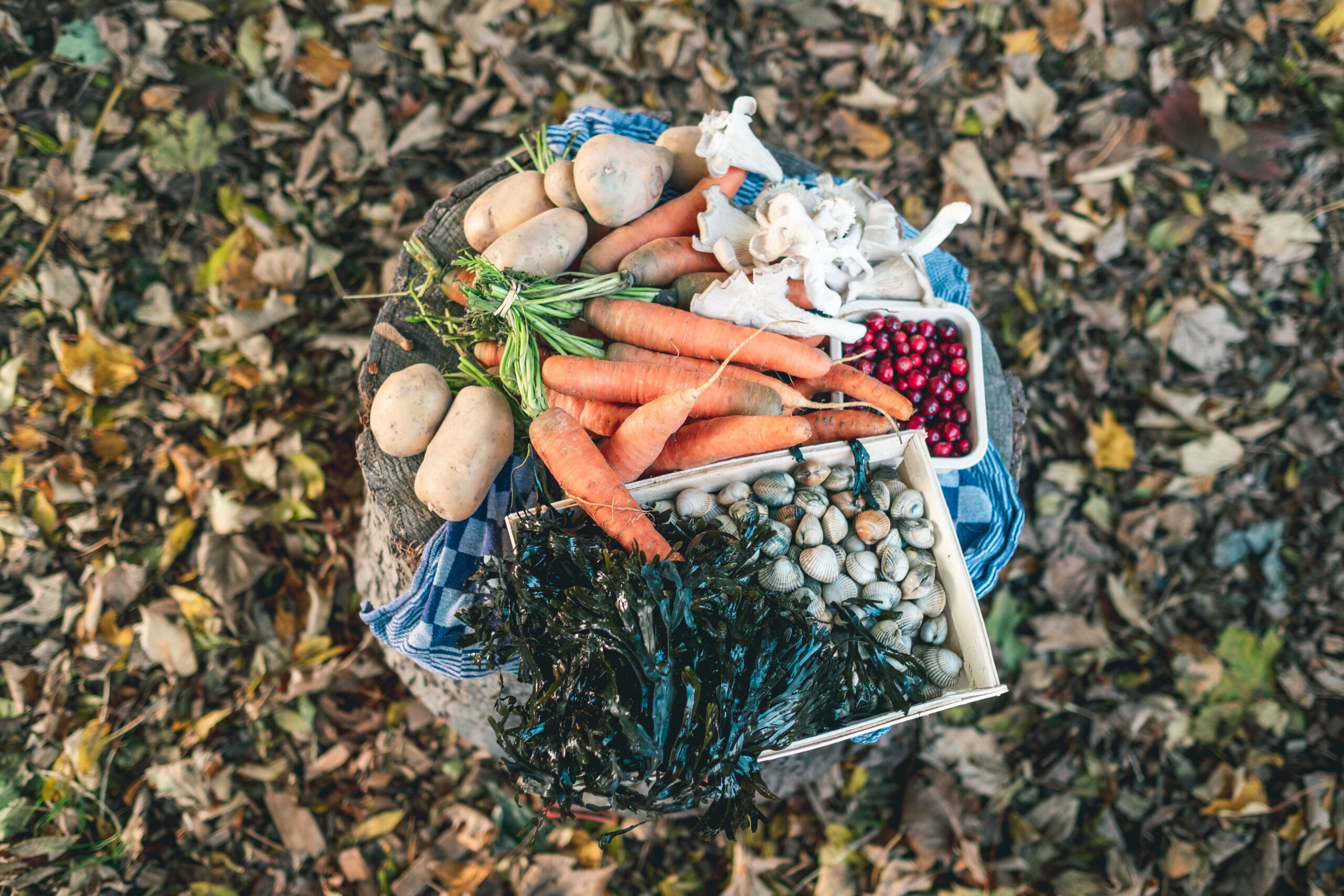 Waddenmarktplaats bundelt streekproducten uit het Waddengebied in een online etalage