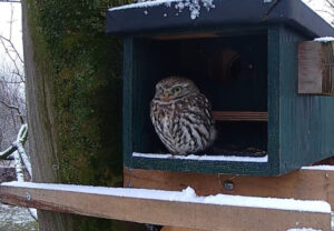 20 jaar Beleef de Lente