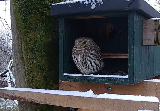 20 jaar Beleef de Lente