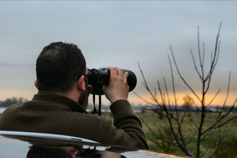 Voorjaarstellingen op 28 maart brengen wilde dierpopulaties in kaart