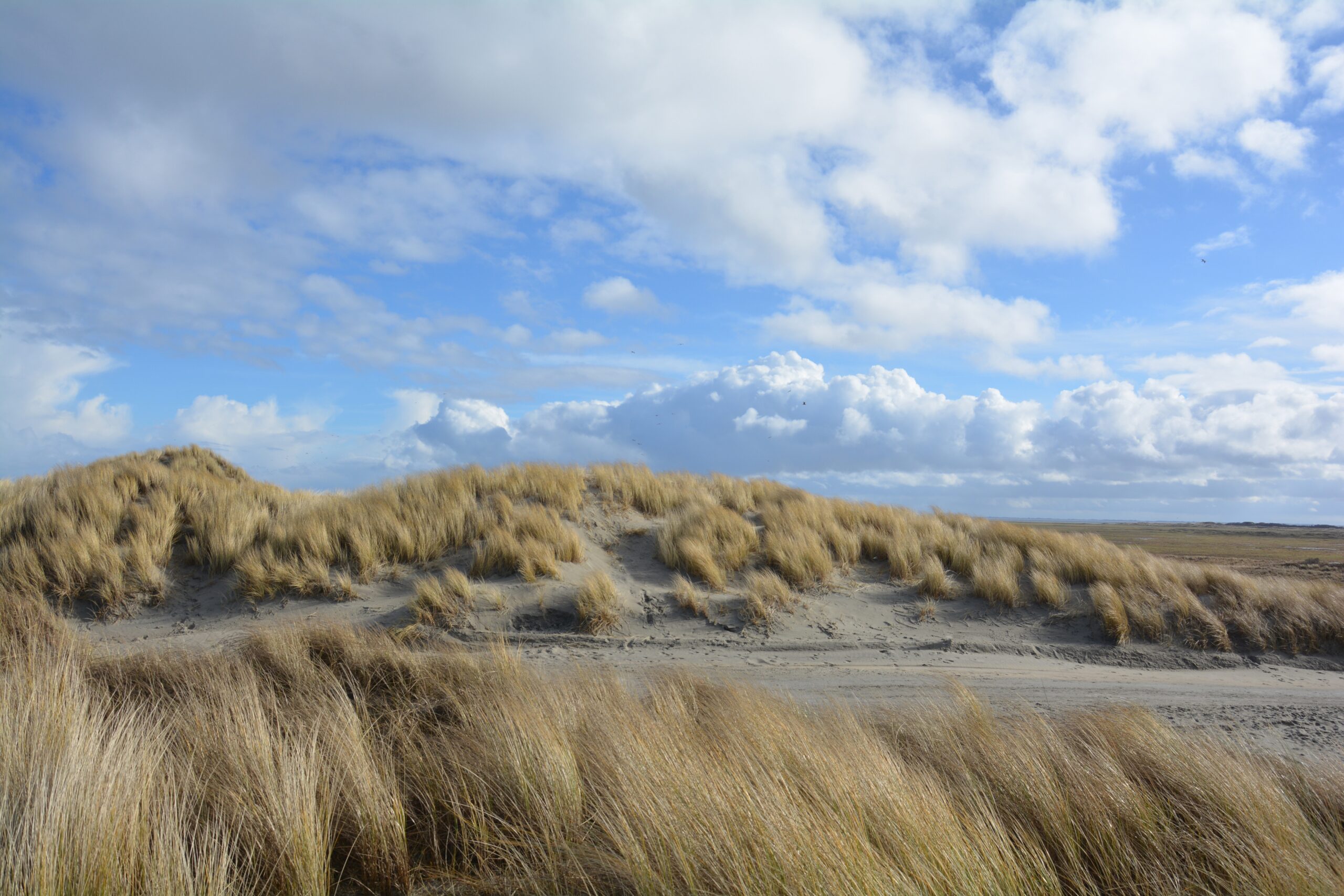 Ameland in september: 6 dingen die je misschien nog niet hebt ontdekt
