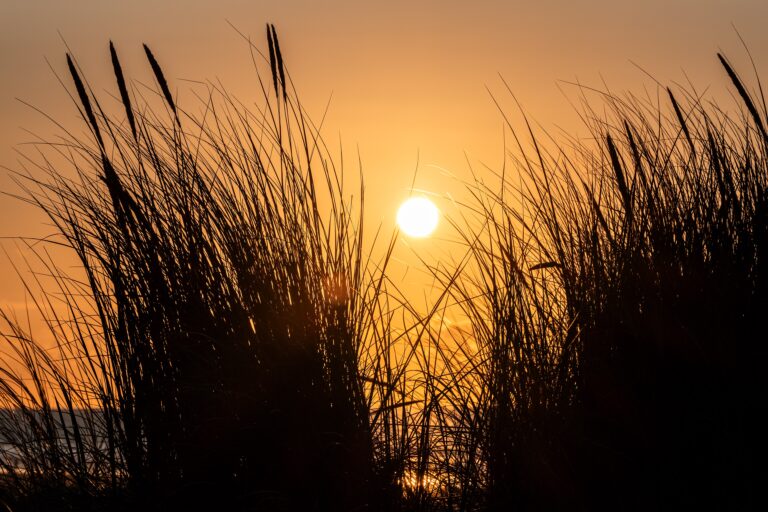 Inge Visser — sfeerbeeld strand Ameland (rugby begon op het strand), CC BY-SA 4.0 Dietmar Rabich / Wikimedia Commons