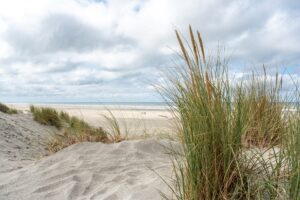Esther Oud — sfeerbeeld strand Ameland (kitesurf), CC BY-SA 4.0 Dietmar Rabich / Wikimedia Commons